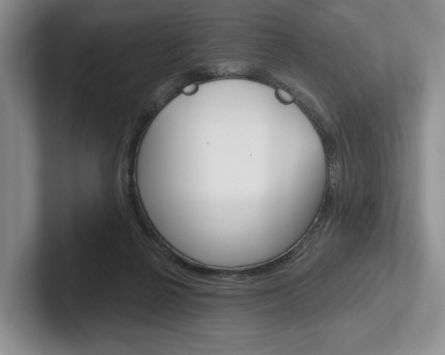 X0000102540264200808081056