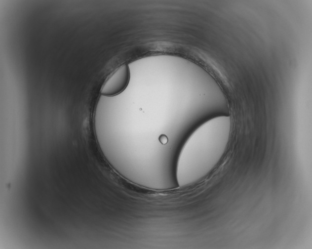 X0000102540265200808081056