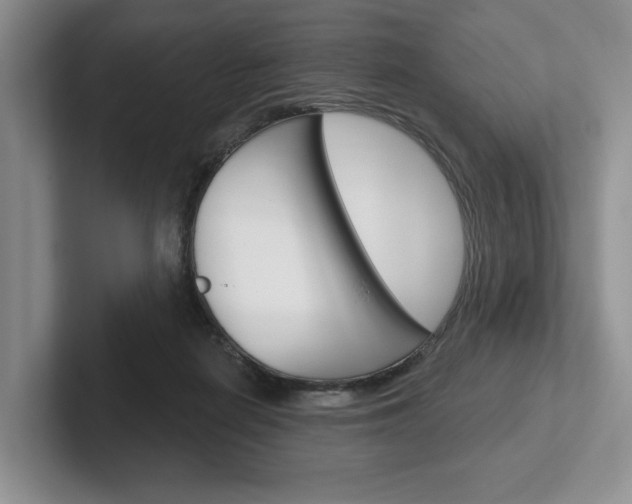 X0000102540266200808081056
