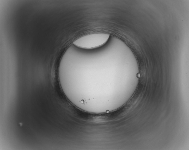 X0000102540268200808081056