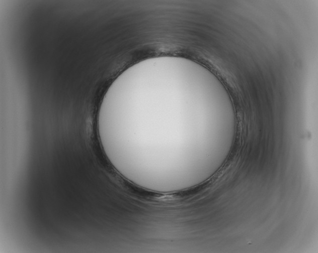 X0000102540269200808081056