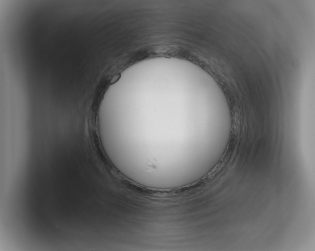 X0000102540272200808081056
