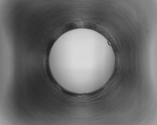 X0000102540275200808081056