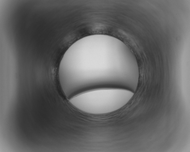 X0000102540278200808081056