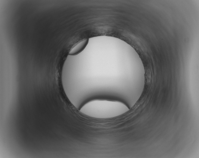 X0000102540279200808081056