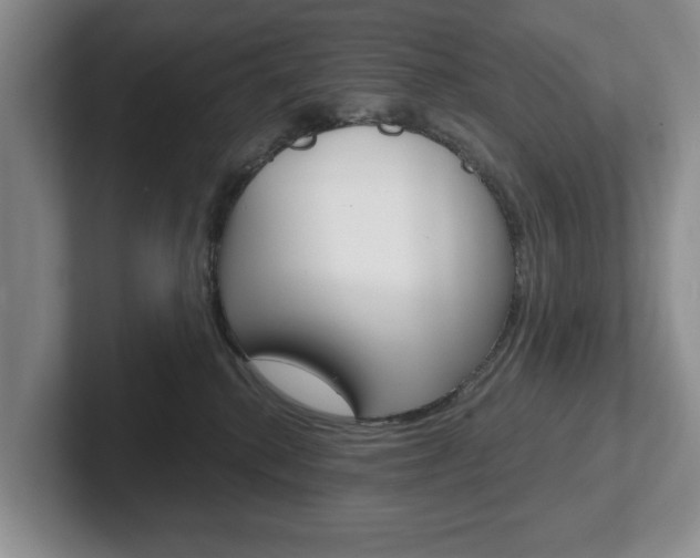 X0000102540280200808081056
