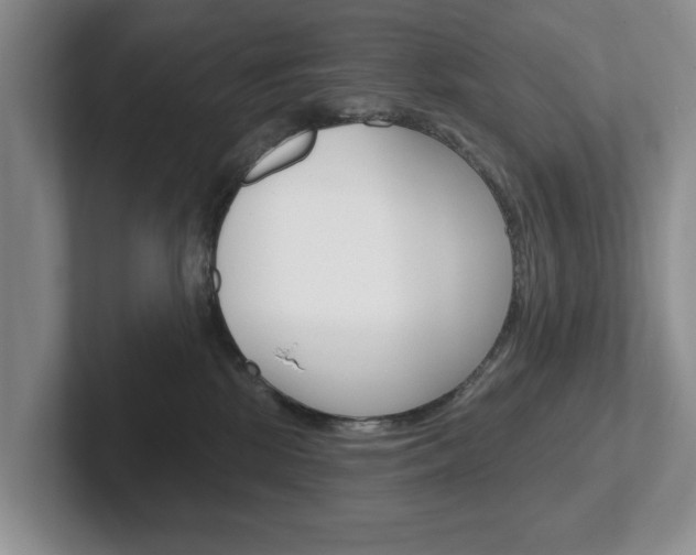 X0000102540281200808081056