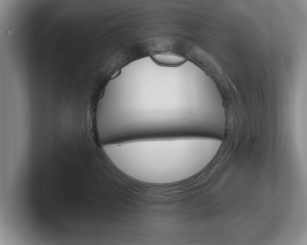 X0000102540282200808081056