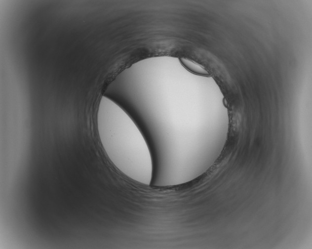 X0000102540283200808081056