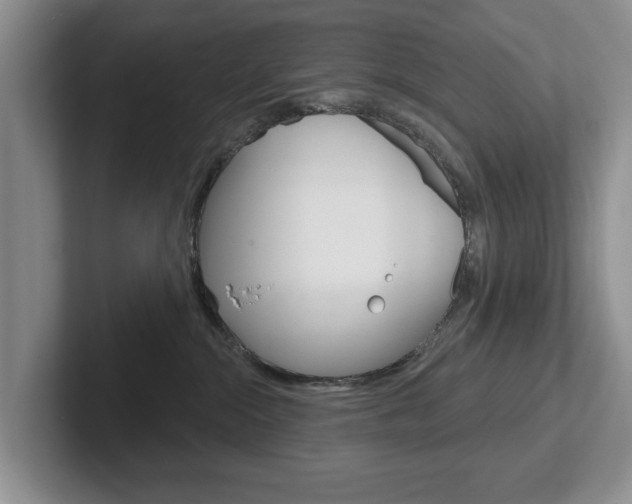 X0000102540284200808081056