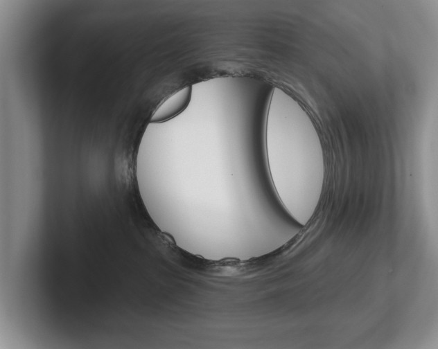 X0000102540285200808081056