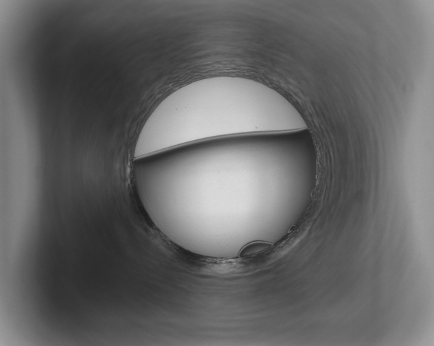 X0000102540288200808081056