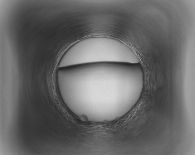 X0000102540289200808081055