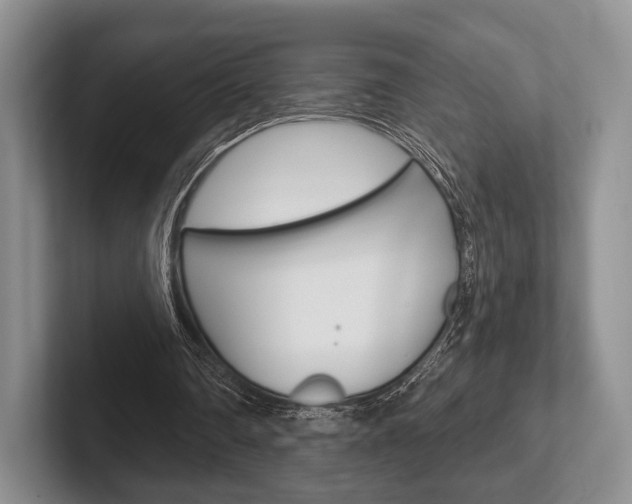 X0000102540290200808081055