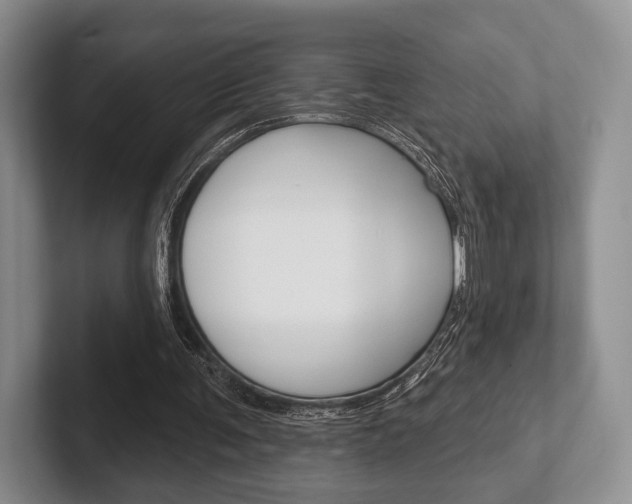 X0000102540291200808081055