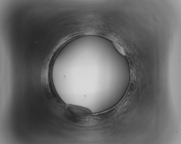 X0000102540292200808081055
