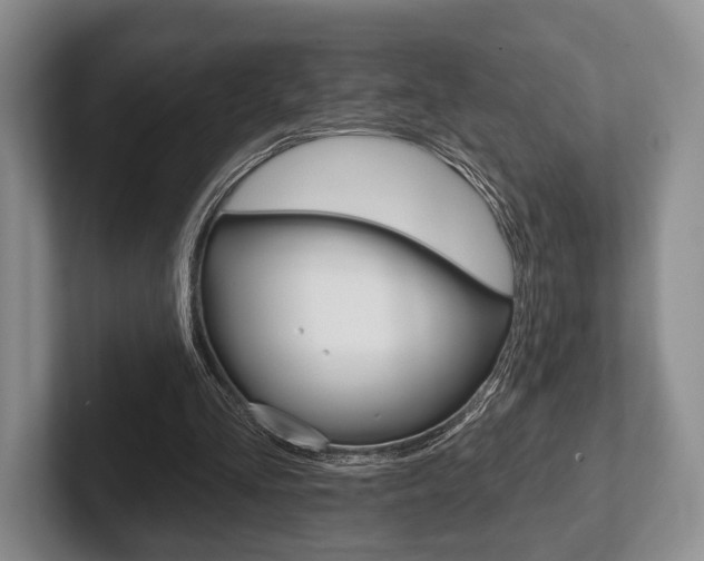 X0000102540293200808081055