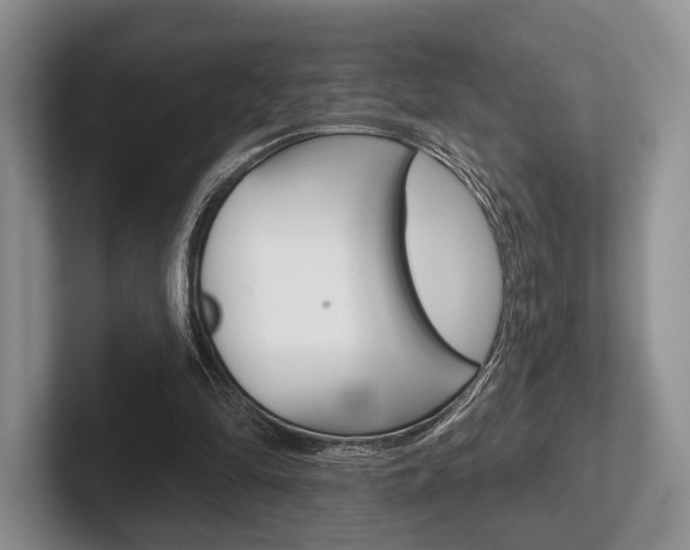 X0000102540294200808081055