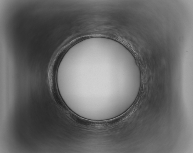 X0000102540295200808081055