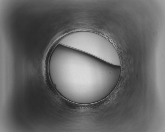 X0000102540296200808081055