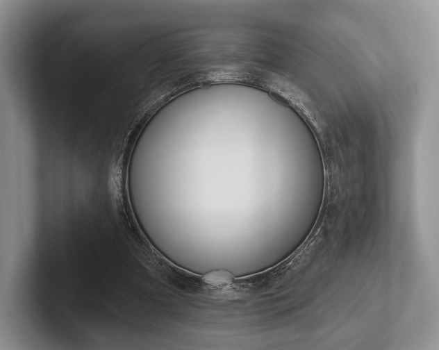 X0000102540297200808081055