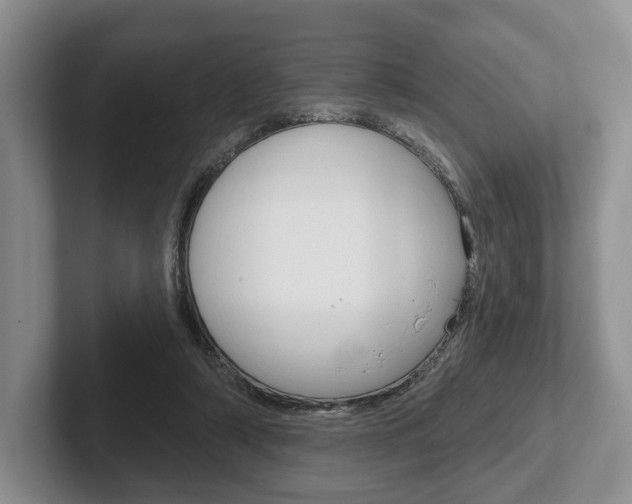 X0000102540306200808081055