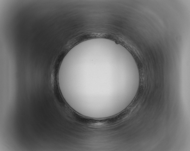 X0000102540312200808081055