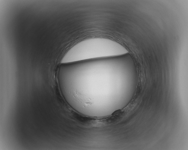 X0000102540320200808081055