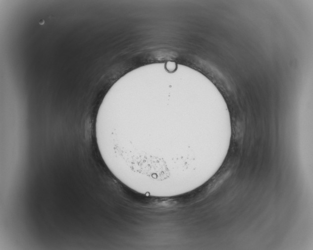X0000102540321200808081055