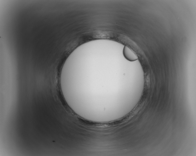 X0000102540322200808081055