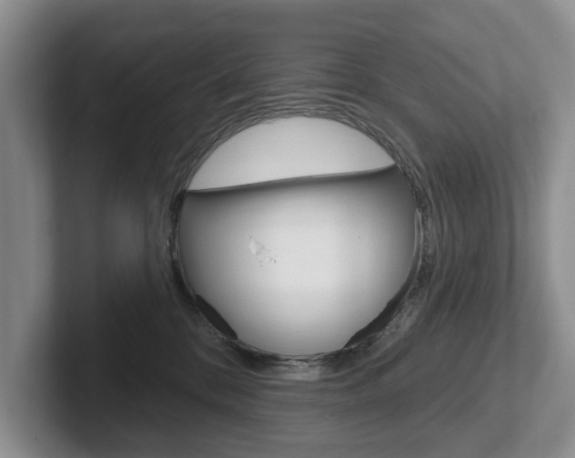 X0000102540328200808081055