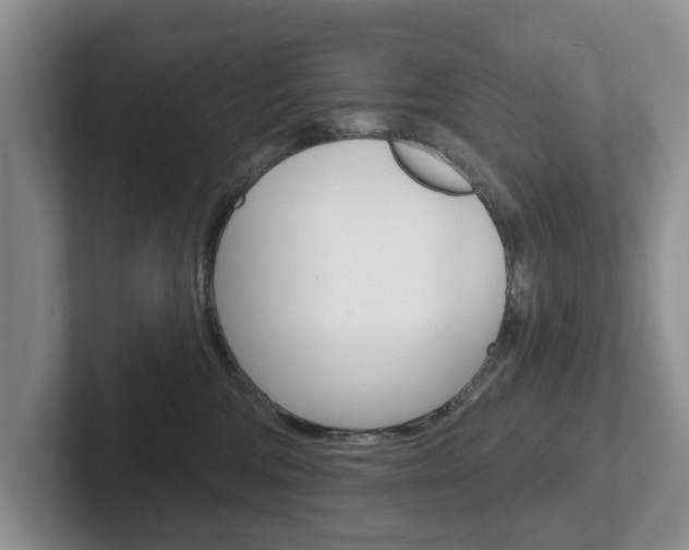 X0000102540330200808081055