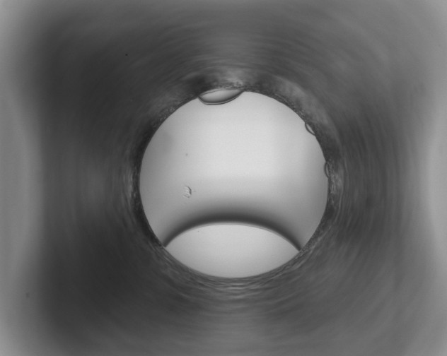 X0000102540331200808081055