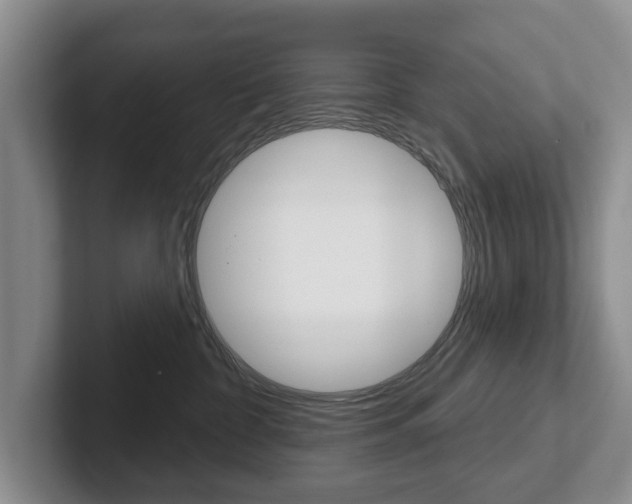 X0000102540332200808081055