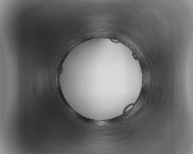 X0000102540333200808081055