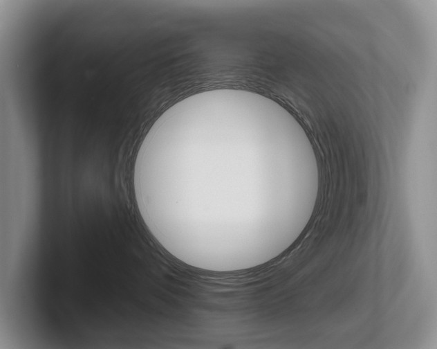 X0000102540336200808081055