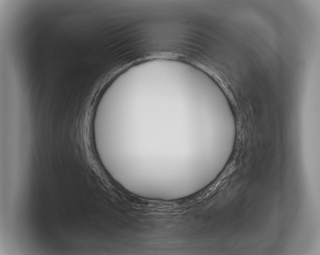 X0000102540337200808081054