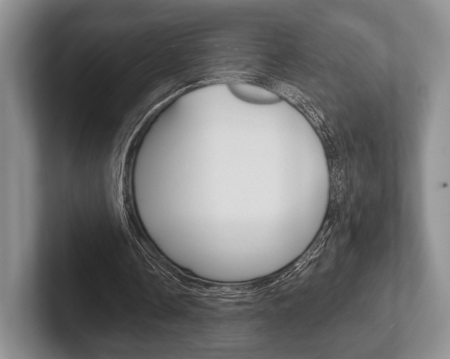 X0000102540338200808081054