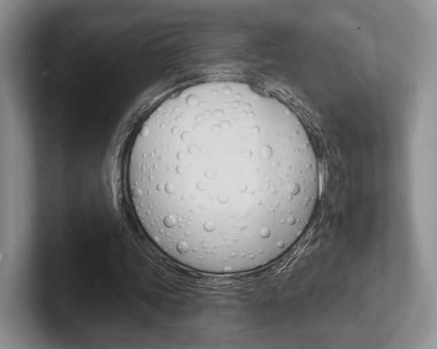 X0000102540339200808081054