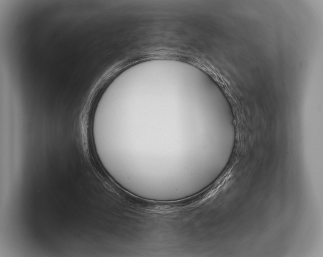 X0000102540341200808081054