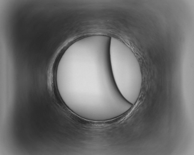 X0000102540342200808081054