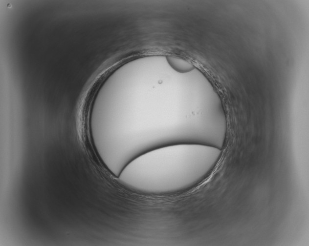 X0000102540343200808081054