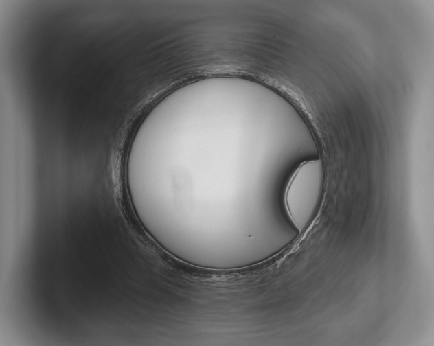 X0000102540345200808081054
