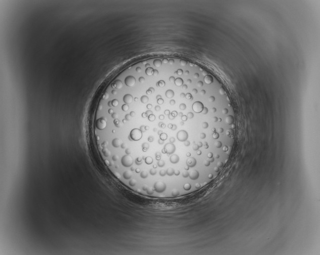 X0000102540346200808081054
