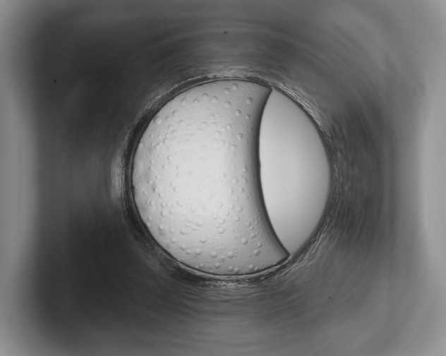 X0000102540347200808081054