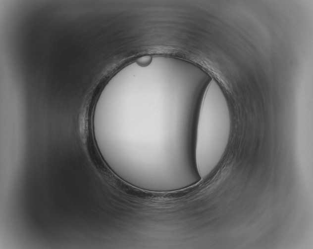 X0000102540348200808081054