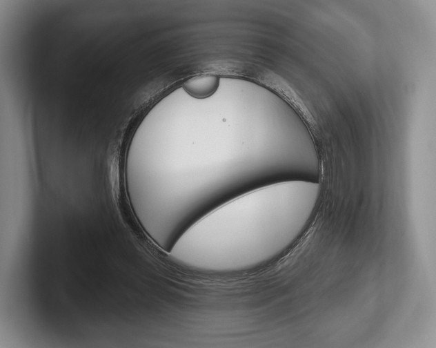 X0000102540349200808081054
