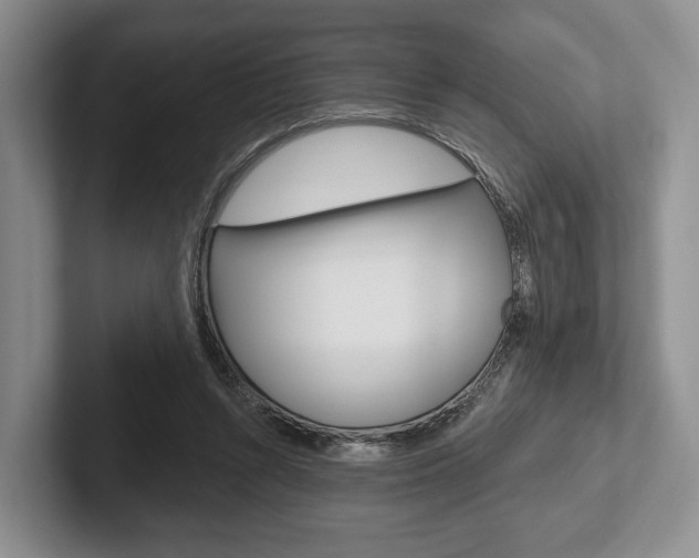 X0000102540352200808081054