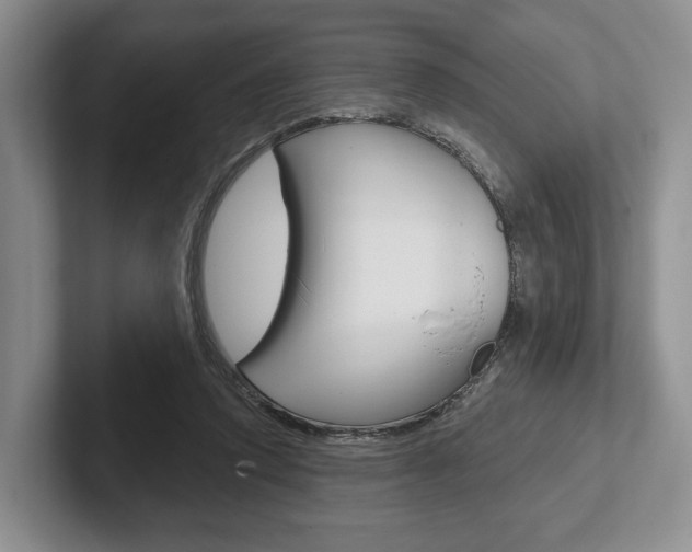 X0000102540354200808081054