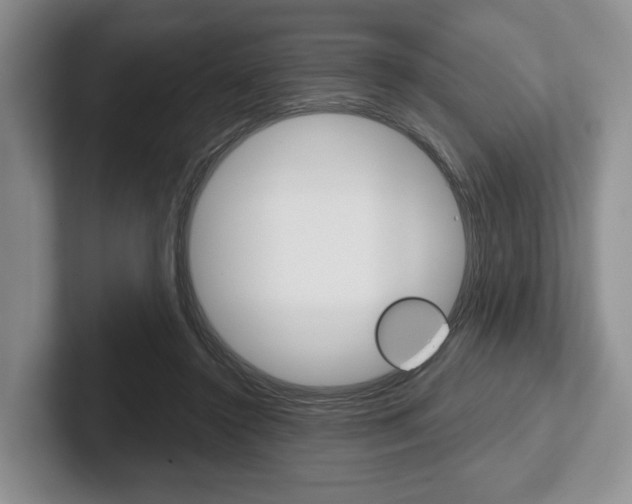 X0000102540356200808081054